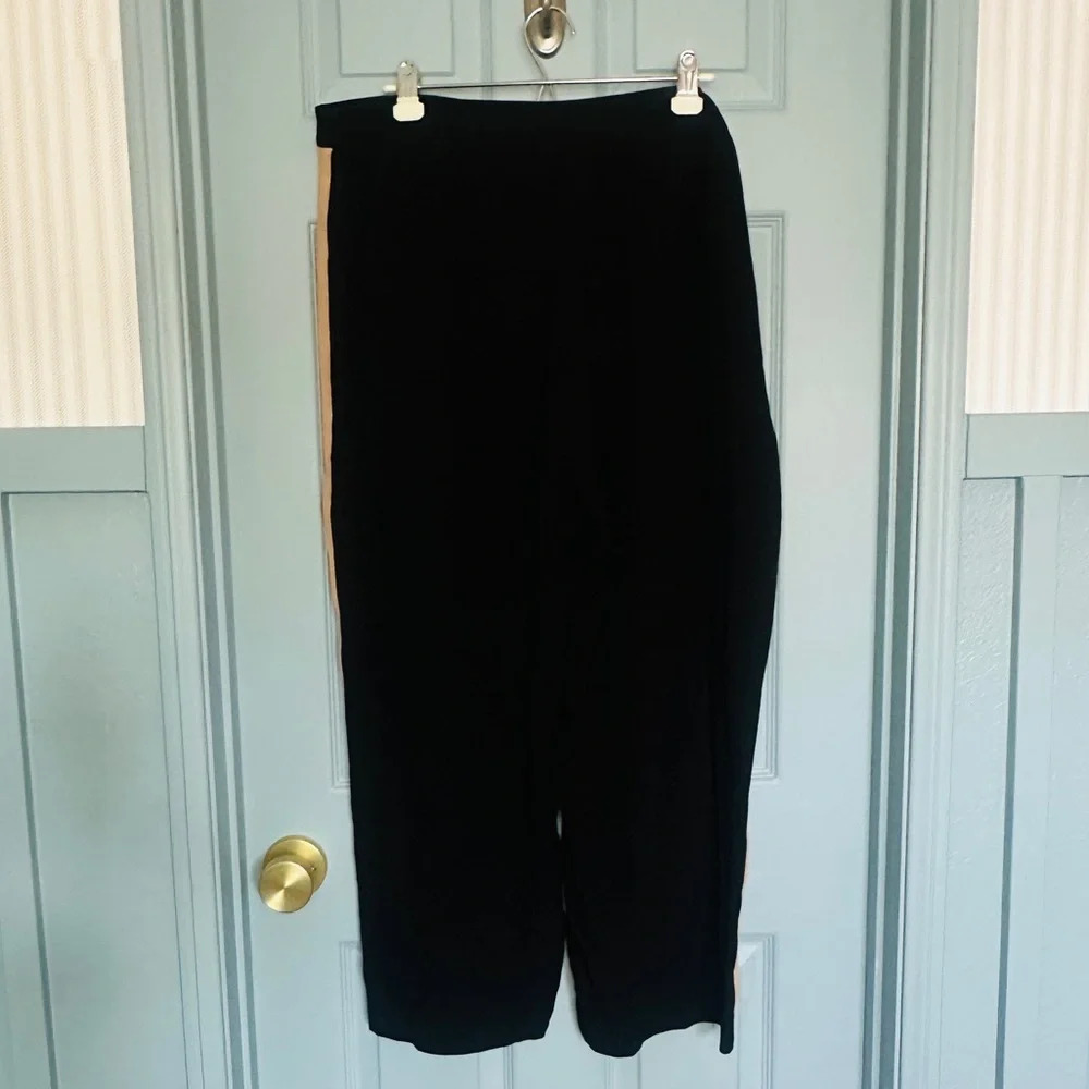 Eileen Fisher Women’s 100% Silk Georgette Black Wide Leg Pants - Picture 13 of 16